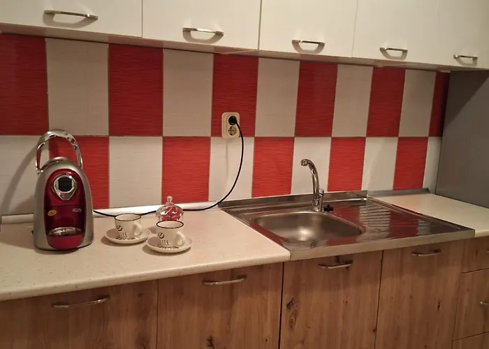 公寓 Dane I Ivana *