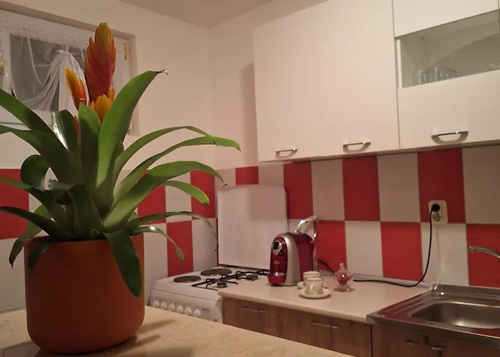 Dane I Ivana * Međugorje